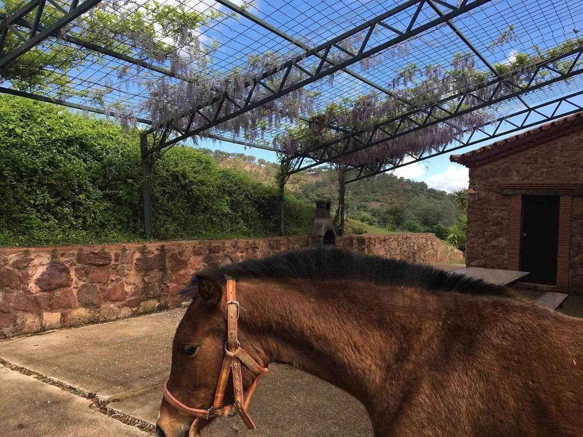 ארקנה Casa Rural Finca El Tornero 0*,  ספרד