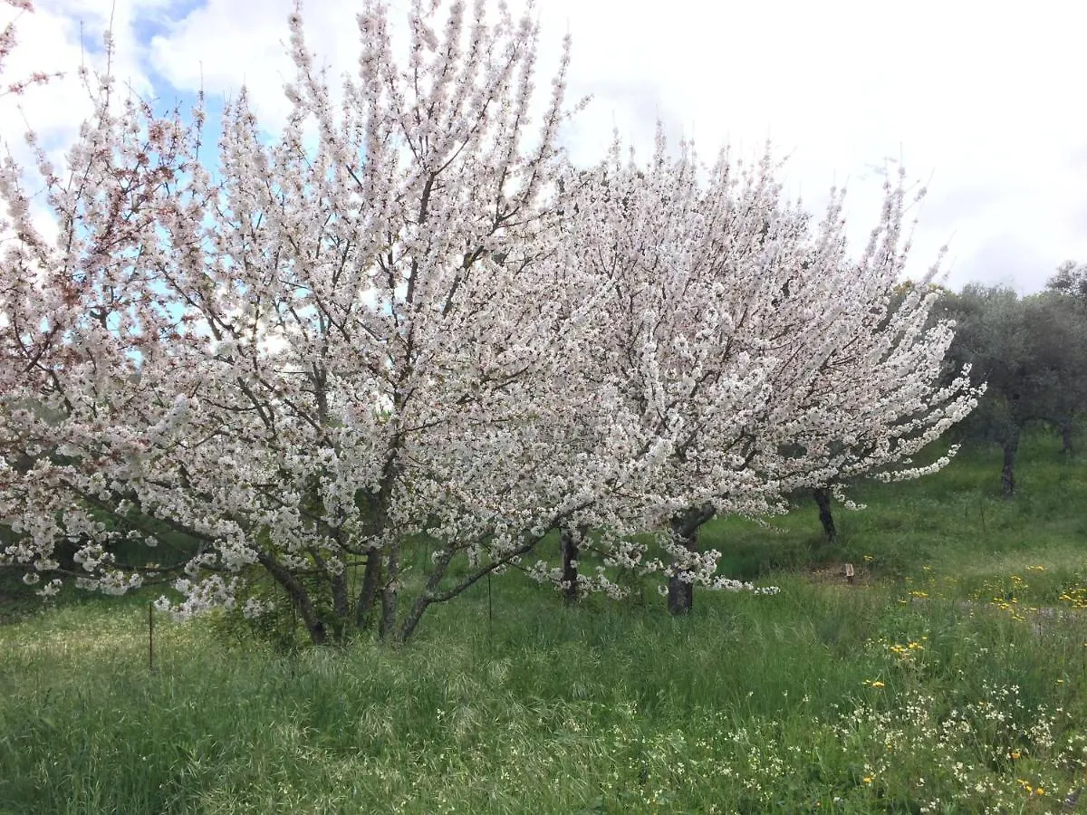 בית כפרי ארקנה Casa Rural Finca El Tornero ספרד
