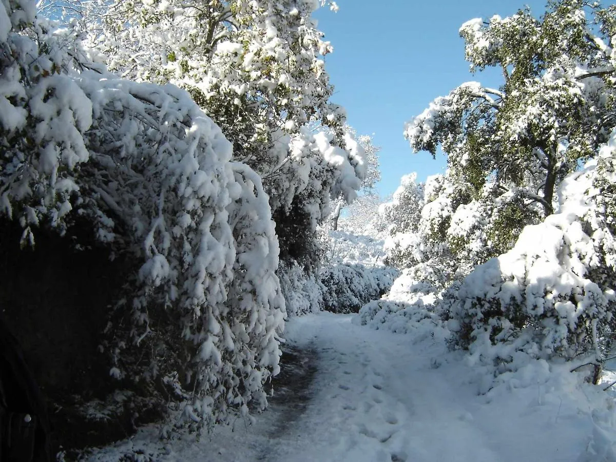 ארקנה Casa Rural Finca El Tornero