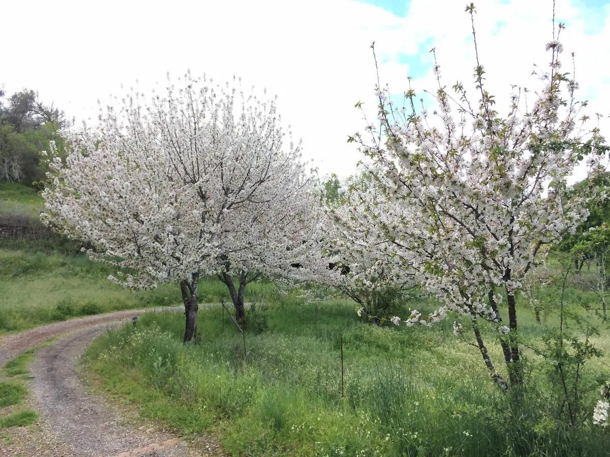 ארקנה Casa Rural Finca El Tornero בית כפרי