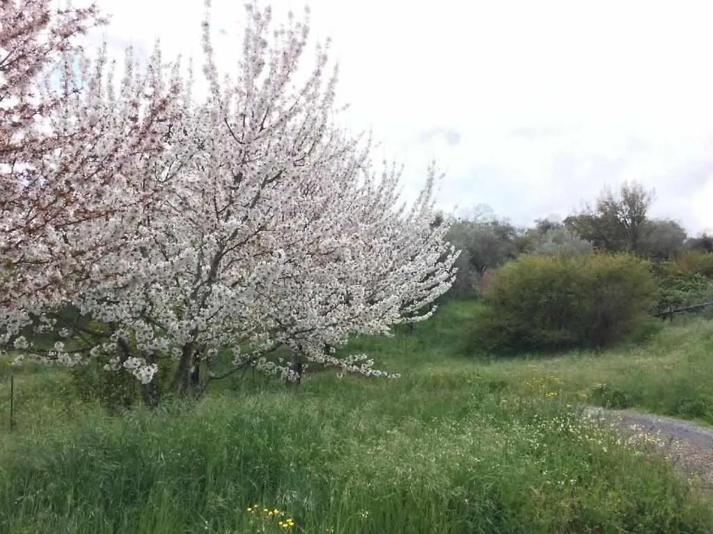 ארקנה Casa Rural Finca El Tornero בית כפרי